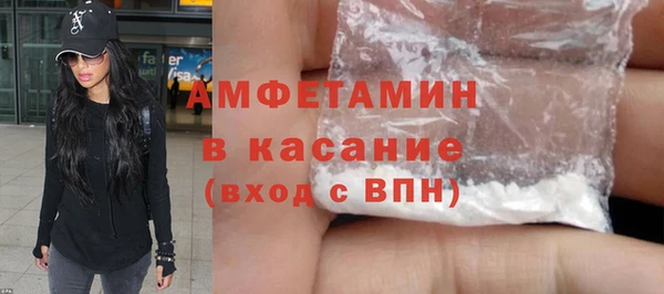 индика Алзамай
