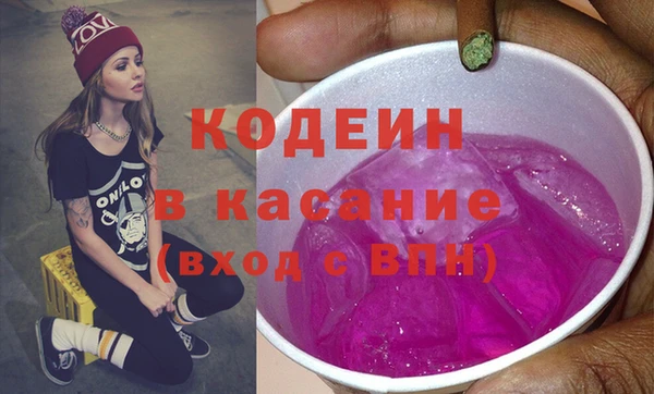 индика Алзамай